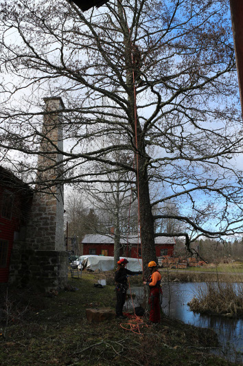 IMG_3244.jpg